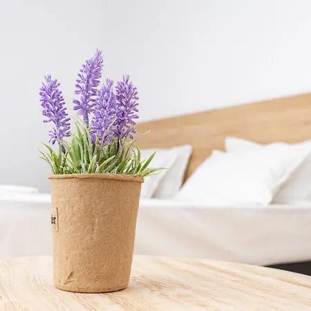 Aparthotel Primorsko شقة 4*