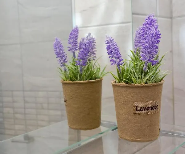 Apartament Aparthotel Primorsko 4*