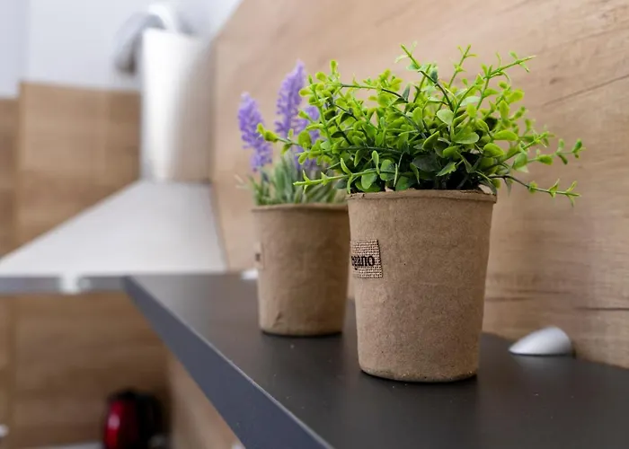 Aparthotel Primorsko 4*