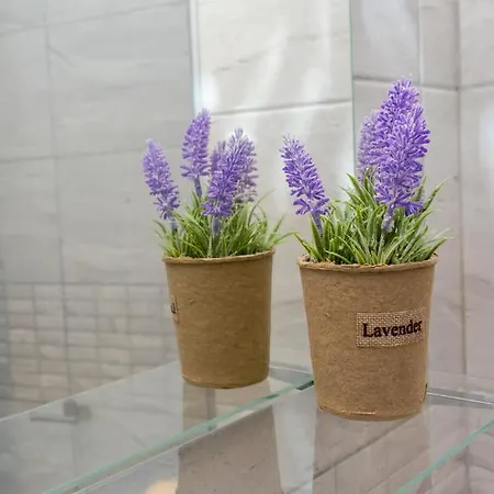 公寓 Aparthotel Primorsko 4*