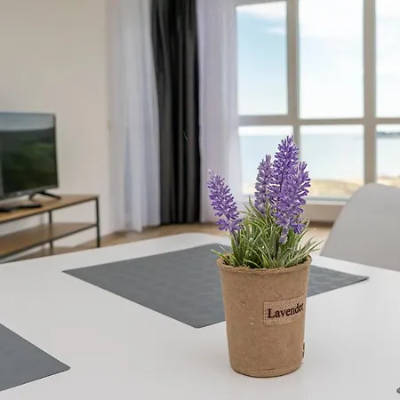 Aparthotel Primorsko 公寓 普里莫尔斯科