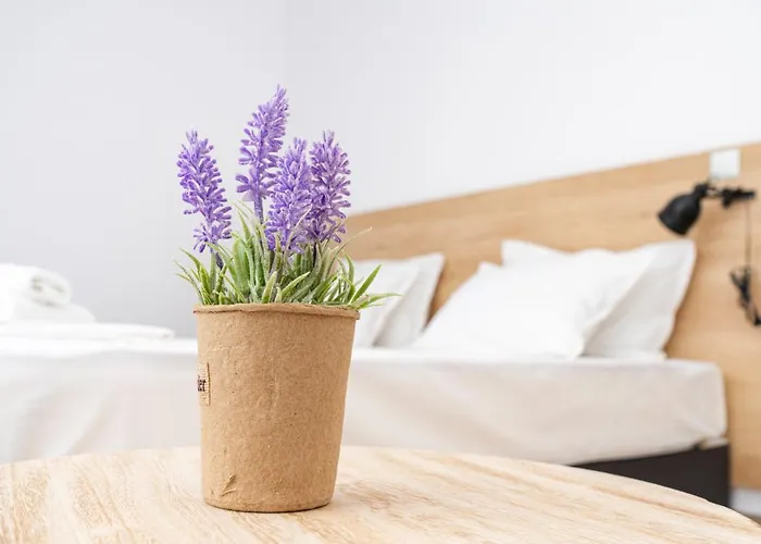 Aparthotel Primorsko Apartment 4*